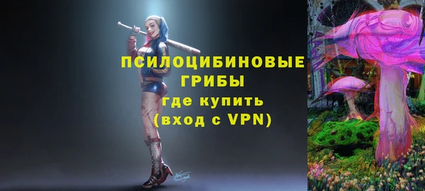 apvp Балахна