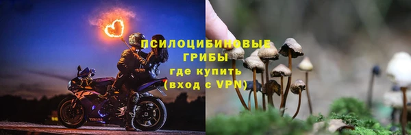 apvp Балахна