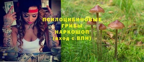 индика Слюдянка