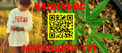 бошки Шелехов
