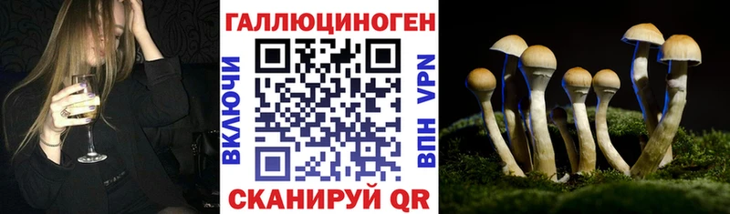 Галлюциногенные грибы мицелий  Белово 